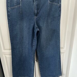 Melanie Lynn  Blue Jeans. Brand new!!!!  Stunning. Modern. Stylish.
